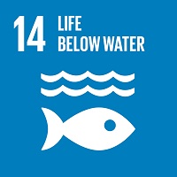Sustainable Development Goals