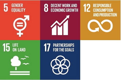 sustainable development-goal