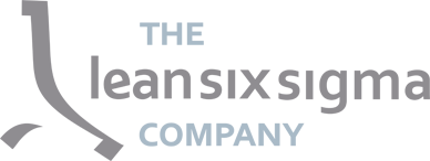 Logo the lean sixì sigma company