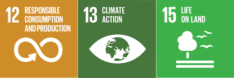 SDG_12_13_15