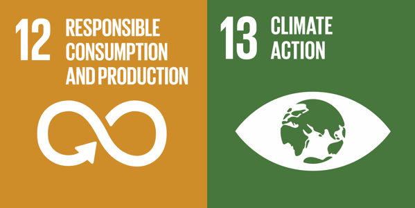 SDG_12_13