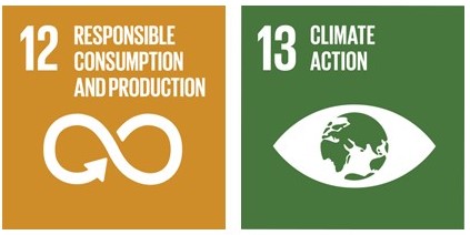 SDG_12_13