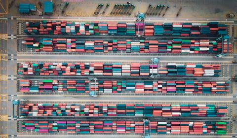 servizi verifica export procurement