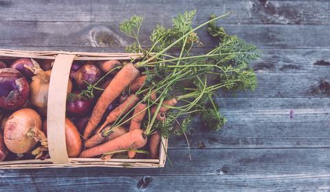 biologico-food-sostenibile