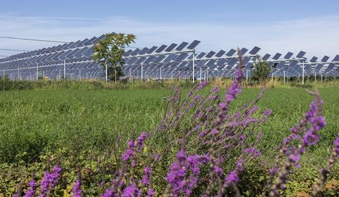 impianto agrivoltaico.jpg 
