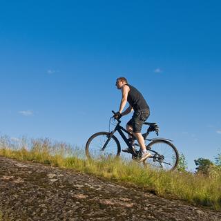 certificazione antidoping