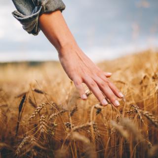 biologico in italia