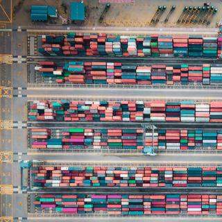 servizi verifica export procurement