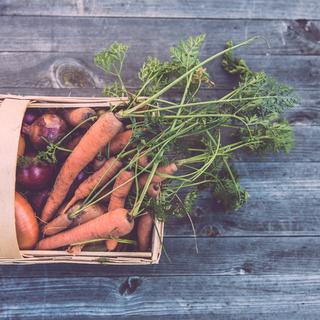 biologico-food-sostenibile