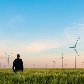 sustainability-landscape