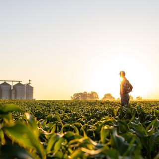 settore agroalimentare