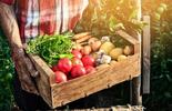 farm to fork