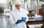 food safety control auditor