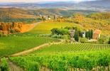 Vigneti_toscana_agriturismi