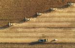 Agri-Commodities 