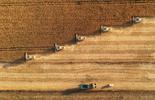 L'occhio di Bureau Veritas Commodities su tracciabilità e provenienza dei prodotti agricoli