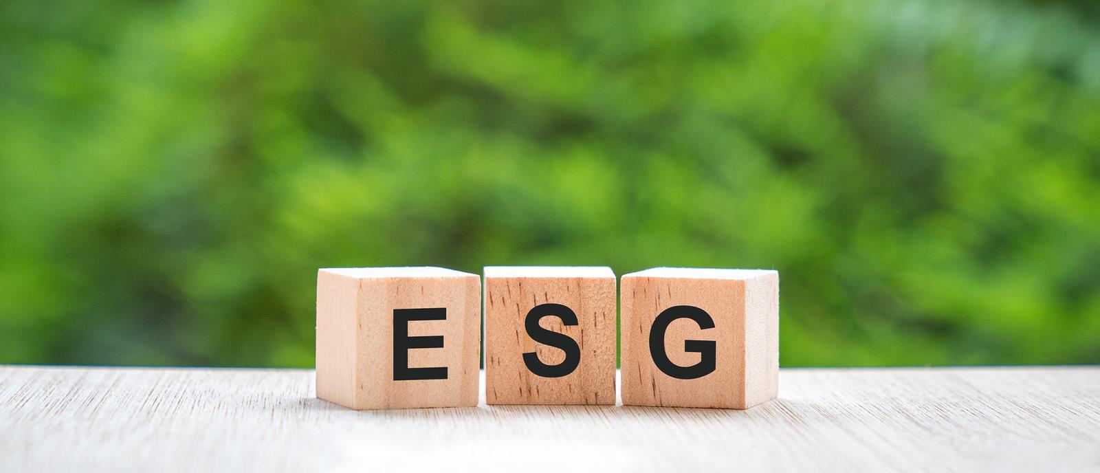 ESG Whitepaper Bureau Veritas