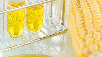 certificazione biofuel