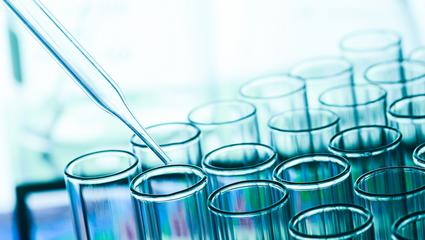 servizi settore chimico