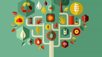 Life cycle assessment