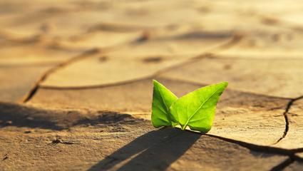 servizi sostenibilità ambientale