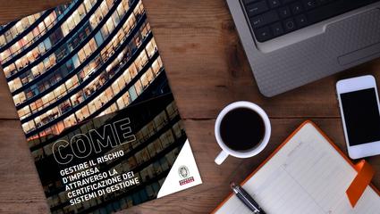 enterprise risk manuale