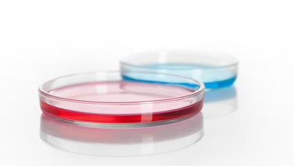 ingegneria di manutenzione cosmesi