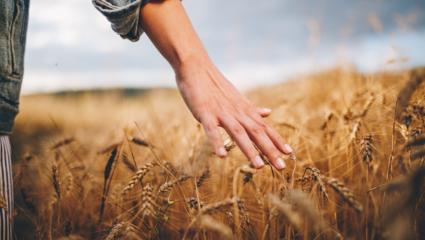biologico in italia
