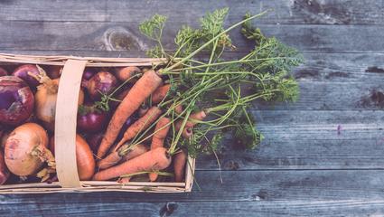 biologico-food-sostenibile