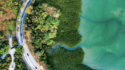 giornata mondiale dell'ambiente