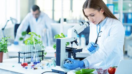 standard analisi food