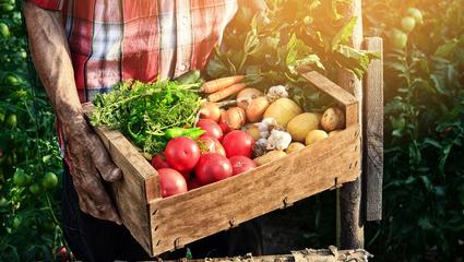 farm to fork