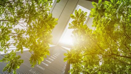 cam_criteri_ambientali_minimi_cepas