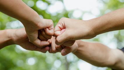 diversity e inlcusion bureau veritas