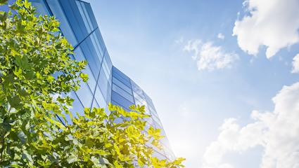 building-green-dnsh-construction