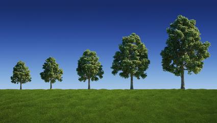 green-growth-sustainability-tree