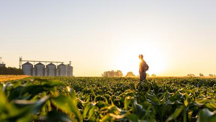 settore agroalimentare