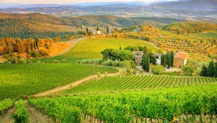 Vigneti_toscana_agriturismi