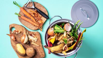 Food_Waste_Management