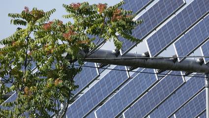 impianto agrivoltaico