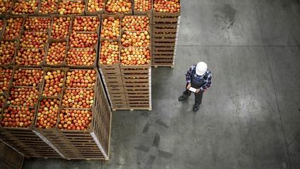 standard per broker ambito food