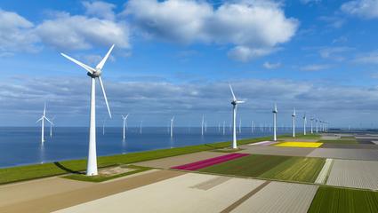 pale eoliche transizione energetica