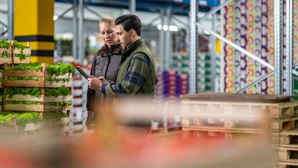 Commodities_ persona in audit