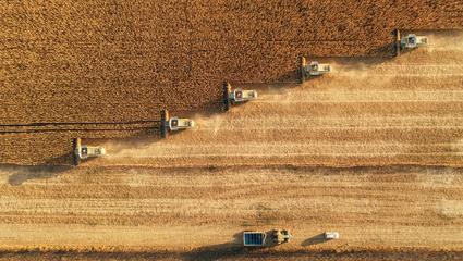 L'occhio di Bureau Veritas Commodities su tracciabilità e provenienza dei prodotti agricoli