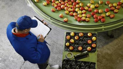 14-agriculture-and-food-market_farmtofork