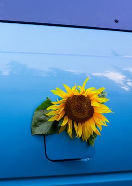 biofuel-sustainable-fuel