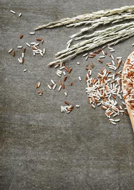 tracciabilità filiera alimentare