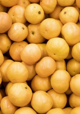 certificazione lavorazione agricola