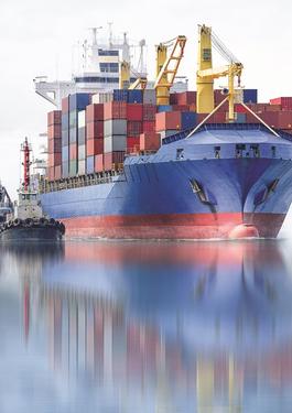 servizi marine offshore