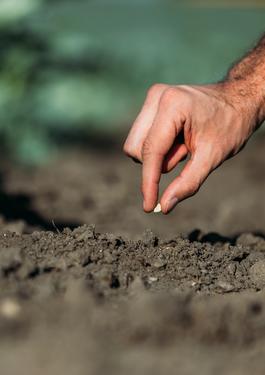 consumo sostenibile etichettatura